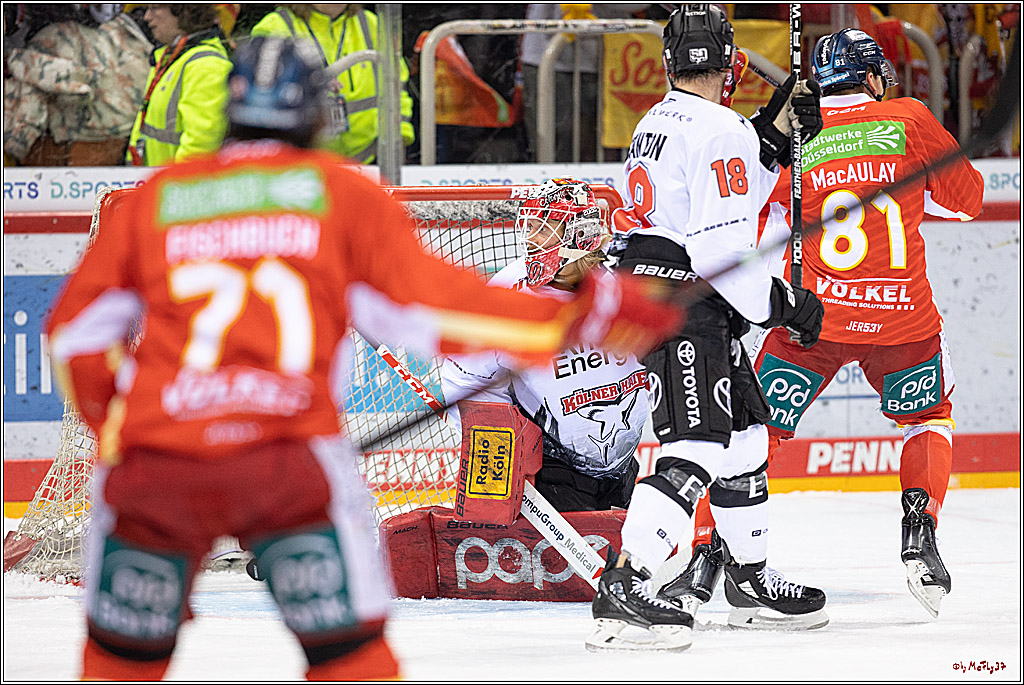 PENNY DEL;  Duesseldorfer EG - Koelner Haie; Koeln, 20.01.2023